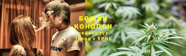 ECSTASY Новозыбков