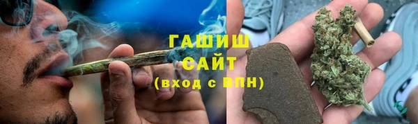 стаф Верея