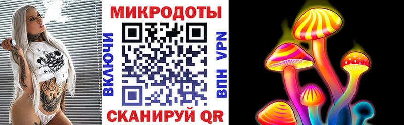 купить наркотик  Тюмень  Галлюциногенные грибы Psilocybe 