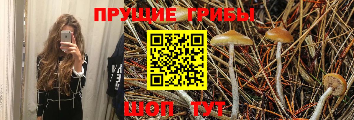 Галлюциногенные грибы прущие грибы Тюмень
